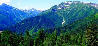 Karcal Daglari Artvin De Gezilecek Yerler Tatil Yerleri Yerler Turkiye