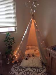 Cool 24 Awesome Pets Room Meowlogy Com Sie Werden Nie Wissen Ob Ein Chat Awesome Meowlogy W Hayvan Odasi Evcil Hayvan Urunleri Kopek Yataklari