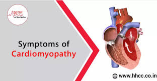 Pin On Best Cardiologist In Jaipur