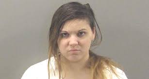 Woman who rammed occupied vehicle, caused manhunt, lockdown pleads guilty