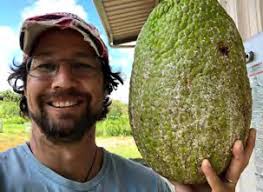 Ka Wai Ola: December 2020