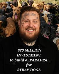 Zachary Roper's Instagram, Twitter & Facebook