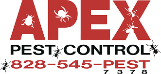 Clegg's pest control is proud to provide pest control and bug extermination services to our neighbors in asheville, nc. Pest Control Asheville
