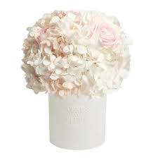 We know funerals and sympathy life events are difficult to express the right emotions. Venus Et Fleur Flowers Review Must Read This Before Buying