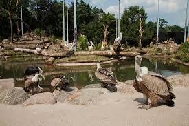 Over dierenpark amersfoort werken bij. Amersfoort Zoo Aktuelle 2021 Lohnt Es Sich Mit Fotos Tripadvisor