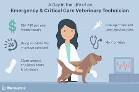 They need to take care of animals by performing the routine task under the supervision of a veterinarian. Veterinary Assistant Job Description Salary Skills More