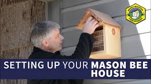 Check spelling or type a new query. Top 8 Best Mason Bee Houses For Sale 2020 Reviews