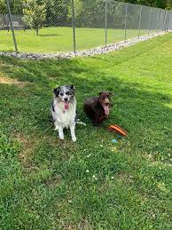 With the vets help and guidance she is now 7 years old, we were not sure she would make it to 2. 8hje8z Mmlcyvm