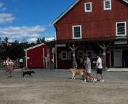 Botanicals and Brews at Lilac Hedge Farm