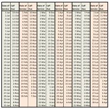 24 Accurate Cow Gestation Period Chart