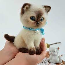 kotenok ot asaturova toys kotenok igrushki igrushkaruchnojraboty interer dekor uyut idei dom dekordoma rukodelie krasivo sdush wool art toys handmade