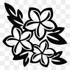 plumeria clipart transparent png clipart images free download clipartmax plumeria clipart transparent png