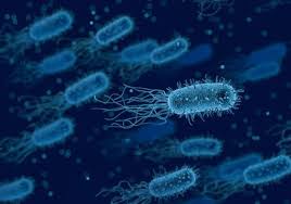 Is there a test for mrsa? Roche Gets Fda Authorisation For Cobas Vivodx Mrsa Diagnostic Test