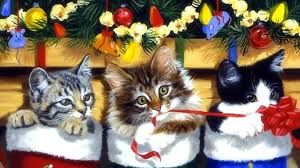 We did not find results for: Kitten Stocking Wallpaper And Background Image 1366x768