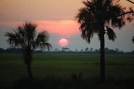 South carolina is a state in the united states of america and is part of the american south. The South Carolina Lowcountry At It S Finest Picture Of Fripp Island South Carolina Tripadvisor