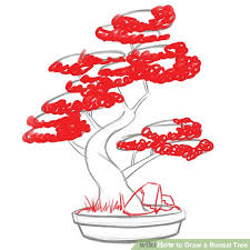Starter bonsai, finished bonsai trees, bushes, woody plants, collected trees and other material are all candidates to become a future bonsai. How To Draw A Bonsai Tree 8 Steps With Pictures Wikihow