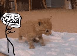 52 Funniest Troll Meme Meme Central It mainly tells when someone is about to do something bad, or other things. 52 funniest troll meme meme central