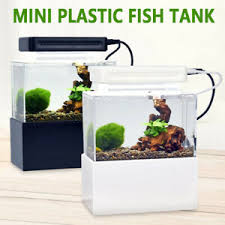 Betta splendent is a labyrinth fish native to marshes across central and southern asia. Desktop Deco 3l Aquarium Fish Tank Betta Cube Bowl W Usb Led Light Gravel Pet Supplies Fish Aquariums