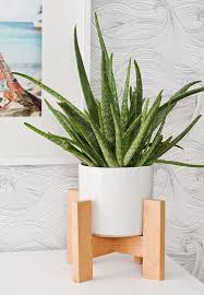 Suporte Jpg 640 924 Estandes De Plantas Vasos De Madeira Plantas Dentro De Casa