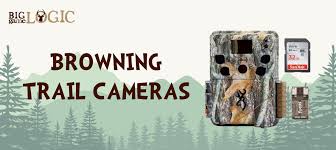 Best Browning Trail Cameras 2019 Review