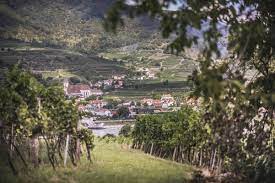 Gemeinde aggsbach albrechtsberg an der großen. Rossatz Arnsdorf Wachau Nibelungengau Kremstal
