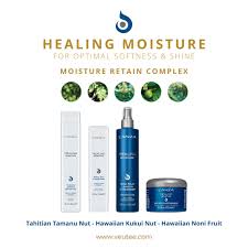 Get started today by clicking the. L Anza Healing Hair Color Care Lanza Twitter