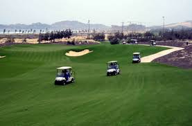 Đọc nhiều 'cá sấu chúa' quỳnh nga: ChÆ¡i Golf Láº­u Giá»¯a Mua Dá»‹ch Giam Ä'á»'c Sá»Ÿ Cá»¥c Pho Va 2 Ä'áº¡i Gia á»Ÿ Binh Ä'á»‹nh Thanh F1 Bao NgÆ°á»i Lao Ä'á»™ng