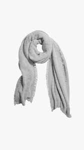 Image result for Salsola rabieana