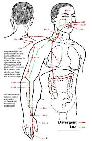 Large Intestine With Divergent Luo Acupressure Treatment