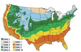 You have searched for zone 8 gardening ideas and this page displays the best picture matches we have for zone 8 gardening ideas in may 2021. Fall Planting Guide Organic Gardening Mother Earth News