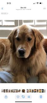 💙 Remembering Theodore “Teddy”...