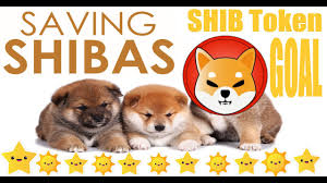 You can store coins on exchanges after purchase but we. Operation Shiba Rescue Shib Crypto Set On Helping Real Shiba Inu Dogs By Donating To Charities Youtube