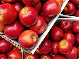 Buah buahan berwarna warni ikon vektor icon vektor gratis download. Yuk Makan 6 Buah Warna Merah Ini Supaya Makin Sehat Orami