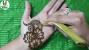 Easy Simple Hand Bridal Mehndi Mehandi Designs