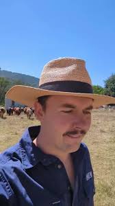 This mob is a group of Nguni X Shorthorn and Nguni X Jersey, plus some  second crosses. , (And 1 sneaky jersey heifer 😂), Soon we will be  splitting the heifers out of this mob to be joined with a Nguni ...