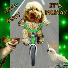 Funny Good Morning Its Friday Quotes Page 1 Line 17qq Com Lol québec memes fail win.