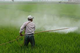 Start studying chemicals in the environment 1.0. Fatal Effects Of Pesticides On Human Health And The Environment Conserve Energy Future