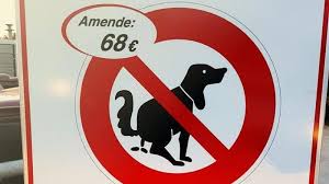 Yohann diniz crotte de nez. La Municipalite Dit Halte Aux Crottes Des Touristes Inquiets Pour La Suite