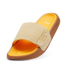 Image result for Citrus Gold 2001 Puma