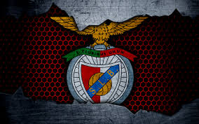 You can also upload and share your favorite benfica wallpapers. S L Benfica 4k Ultra Hd Wallpaper Background Image 3840x2400