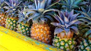 Check out our black pineapple selection for the very best in unique or custom, handmade pieces from our ornaments shops. Cades Bay Agricultural Station Visit Antigua Barbuda