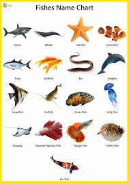 Fish Names Facts Pictures Videos Charts Ira Parenting In 2020 Fish Chart Animal Pictures For Kids Animals Name With Picture