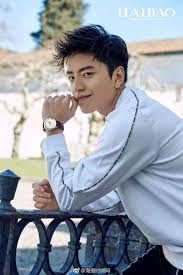 So this film was released ages ago in taiwan (and across asia), where it took the box office by storm (it's been one of the top 5 highest. Darren Wang S Biography Age Height Girlfriend Net Worth Kpop Wiki