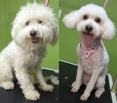 Miss u Kia Center🫶