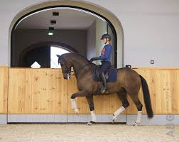 Juliette ramel is a swedish baroness and olympic dressage rider. Ramel Switcht Naar Kittel Horses Nl