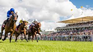 Put yourself in the right place location is key to being able to bet late in horse racing. Talking Brands Horse Racing Has A Huge Following But Does It Have The Legs To Make It In Licensing Brands Untapped
