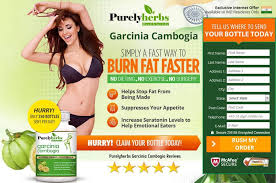 Pin By Dayendrakaotom On Purely Herbs Garcinia Cambogia Purely Herbs Garcinia Cambogia Reviews Herbs Diet Vegetables