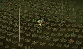 Cactus guide pertaining to don't starve together. Having Fun With Wormwood Dontstarve