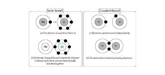 This is the currently selected item. Covalent Bond Worksheet Snowtanye Com