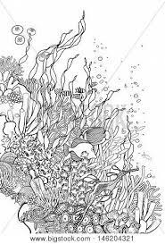 The pdf prints best on standard 8.5 x 11 paper. Graphic Coral Reef Vector Photo Free Trial Bigstock